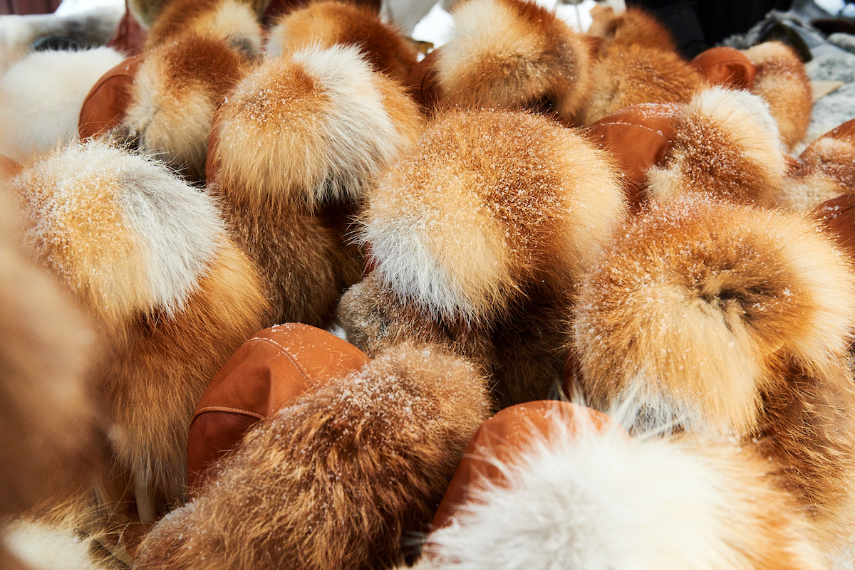 Jokkmokk Market Furs