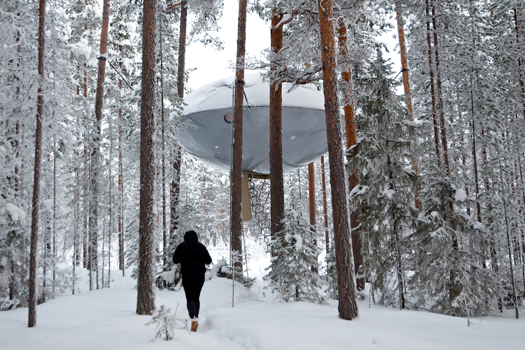 UFO Winter